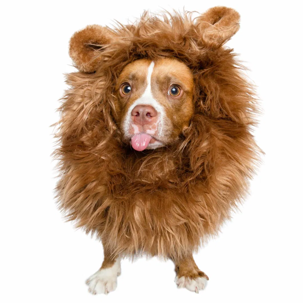 Lion Mane Costume with Ears for Medium and Big Dogs